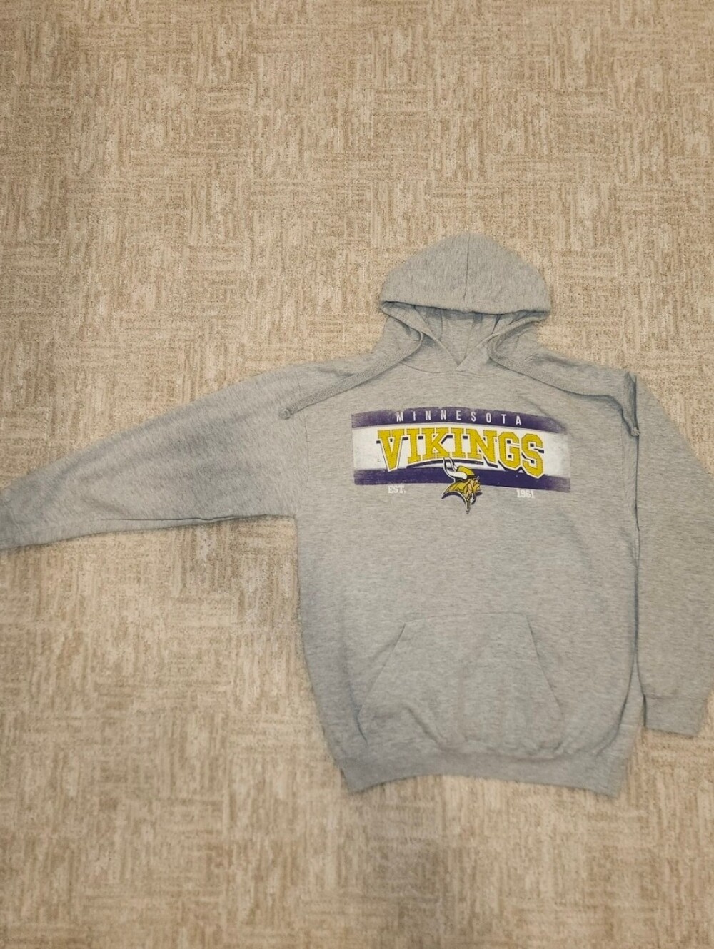 Minnesota Vikings Vintage Y2K NFL Team Apparel Mens Size Medium Gray Hoodie Good